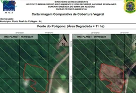 MPF ajuíza ação por desmatamento em área protegida em Terra Indígena de AL