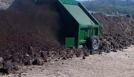 Pindorama desenvolve compostagem usada no plantio da cana-de-açúcar