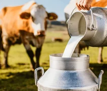 Acordo Mercosul–UE pressiona cadeia do leite e reacende debate sobre competitividade no Brasil