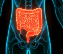 Estudo aponta que adoçante pode afetar bactérias benéficas do intestino