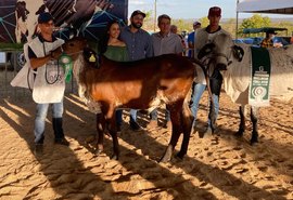 Expo Bacia Leiteira faz julgamento de alto nível técnico