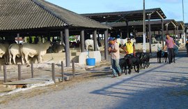 8ª Expoalagoas Genética divulga programação completa