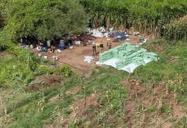 PF apreende duas toneladas de maconha em operação na divisa AL-BA