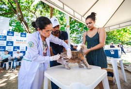 Vacinação de cães e gatos acontece neste fim de semana em alguns bairros de Maceió; confira