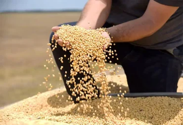 Tarifa dos EUA pode atingir 36,5% das exportações do agro brasileiro