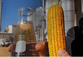 Expansão do etanol de milho redefine a cadeia do grão no Brasil
