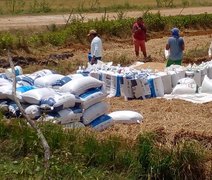 Coobapi e Coopaiba firmam intercooperação para a comercialização do arroz
