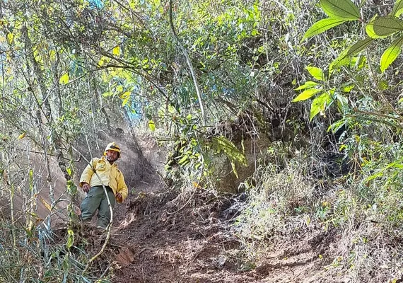 Após oito dias, incêndio no Parque Nacional do Itatiaia é extinto