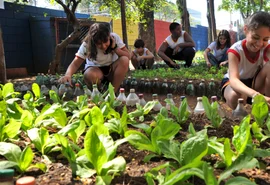 Ocepar fortalece cooperativas implementadas em colégios agrícolas