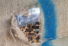 Carga com 77 toneladas de café escondia 366 kg de cocaína no Porto de Santos
