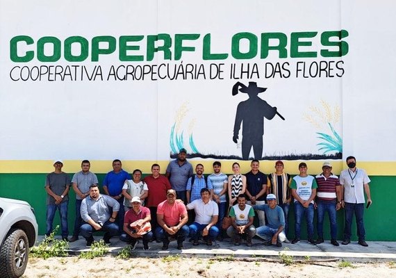 Unicafes/AL realiza ciclo de visitas à cooperativas da agricultura familiar