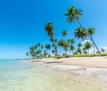 Japaratinga lança primeira revista digital para impulsionar turismo