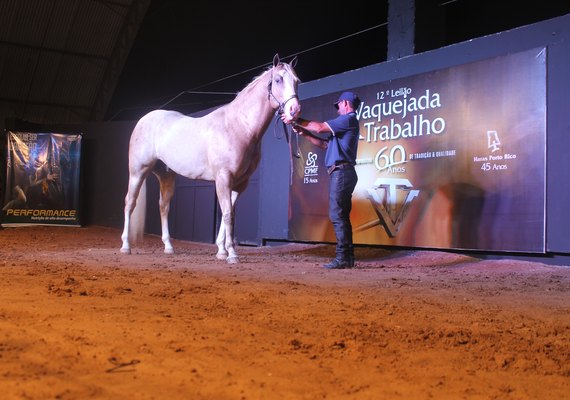 13º Vaquejada e Trabalho é um dos leilões de produção mais aguardados do Nordeste