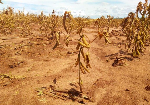 Impacto da seca na safra 21/22 de soja foi de R$ 72 bilhões