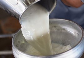 CPLA comemora Dia Mundial do Leite