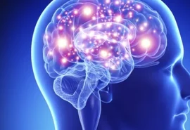 Ufal promove Semana do Cérebro com palestras e oficinas em março