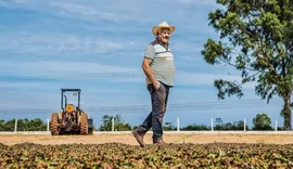 Cooperativas se destacam no Plano Safra e crédito rural registra crescimento anual