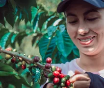 Cafeicultores de cooperativa mineira são os primeiros do mundo a receber selo de baixo carbono