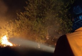 Incêndio atinge vegetação na madrugada em São Miguel dos Milagres