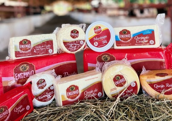 Laticínio em AL será o primeiro do Nordeste voltado para produção de queijos finos