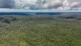 Amazônia registra menor desmatamento em 41 anos, aponta MapBiomas