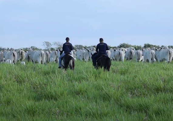 Leilão de Fêmeas Santa Nazaré & Varrela Pecuária acontece neste sábado, 18, em Maceió
