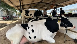 Expo Bacia Leiteira conecta produção, tecnologia e mercado no sertão alagoano