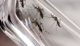 Alagoas teve 80 casos confirmados de dengue desde janeiro de 2019