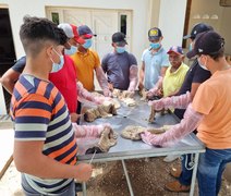 Batalha recebe curso gratuito de Inseminação Artificial em Bovinos; Inscrições abertas
