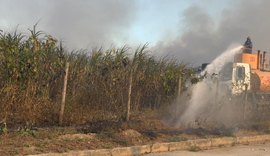 Incêndios criminosos em canaviais causam danos em Alagoas