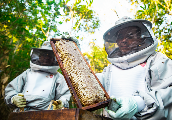 Cooperativismo e associativismo viram protagonistas da gestão Paulo Dantas