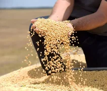 Tarifa dos EUA pode atingir 36,5% das exportações do agro brasileiro