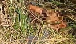 Corpo com sinais de violência é encontrado em córrego em Colônia Leopoldina