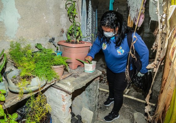 Penedo realiza mutirão de combate à dengue em bairro da cidade