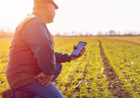 Aplicativo Stat Rural melhora a produção agrícola