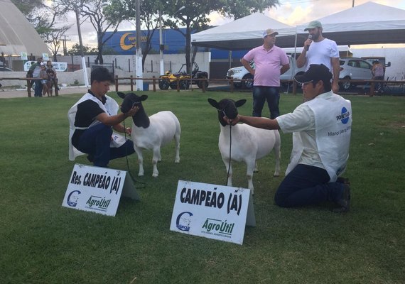 8ª Expoalagoas Genética traz exposição inédita para Alagoas