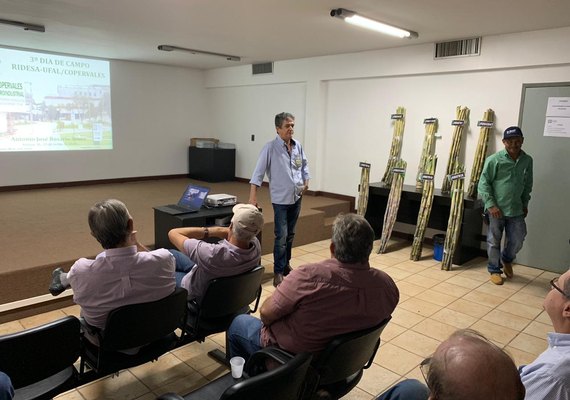 Dia de campo mostra desempenho de variedade RB