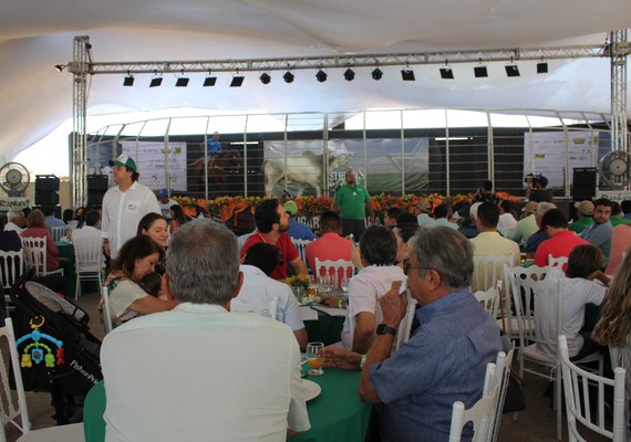 Leilão Estrelas do Norte cresce 19%  e supera as expectativas