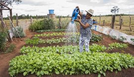 Exército abre edital para agricultores familiares, inscrições vão até dia 27