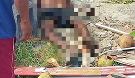 Homem tenta furtar fios e morre após choque elétrico em Maceió