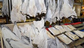 Consumidor deve ficar atento à qualidade do bacalhau na Semana Santa