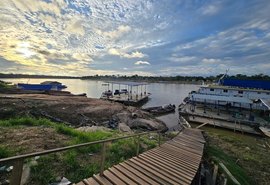 Estudo da Ufal sobre a Amazônia é publicado em revista científica internacional