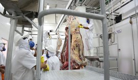 FrigoVale moderniza abate de carne em Alagoas