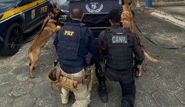 Passageiro de ônibus é preso com mais de 17 kg de maconha em São Sebastião