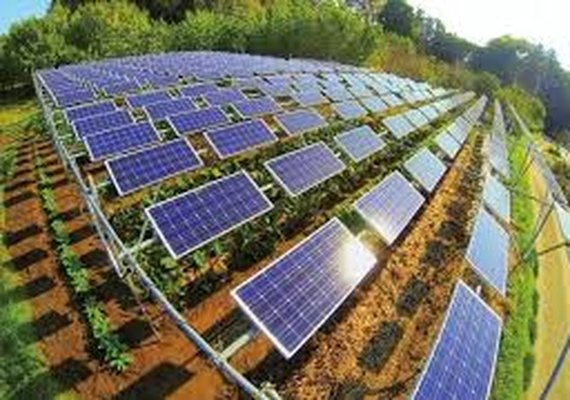 CI aprova benefício na conta de luz para agricultor familiar com painel solar