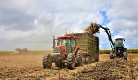 Usina Pindorama supera dificuldades climáticas e encerra safra com recorde de moagem