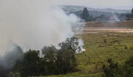 'Abram suas porteiras': Incêndios matam mais de 2 mil animais da pecuária