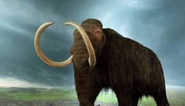 Mamute com marcas de abate humano é achado na Alemanha