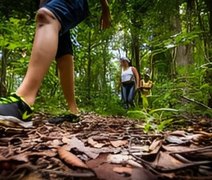 Maragogi: trilha do Visgueiro é opção para quem curte aventura