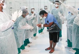 Alagoas registra queda nos casos de infecção pelo novo coronavírus